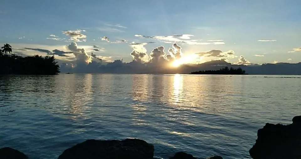 Bungalow Les Pieds Ds L Eau, La Maison Bleue Moorea