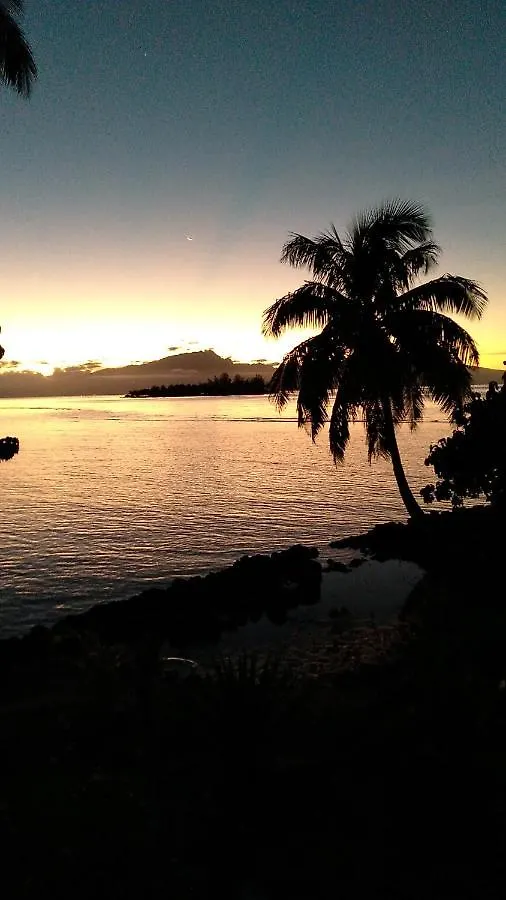 Bungalow Les Pieds Ds L Eau, La Maison Bleue Moorea 0*,  Polinesia Francese