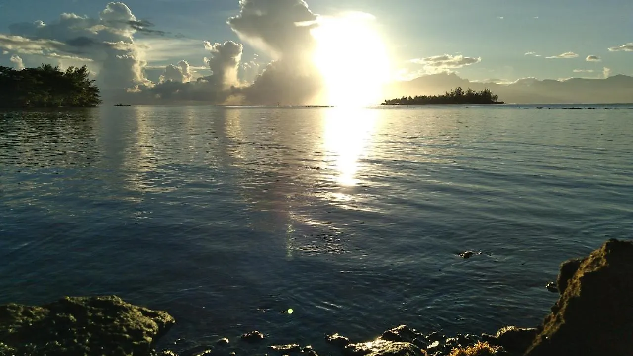 Bungalow Les Pieds Ds L Eau, La Maison Bleue Moorea