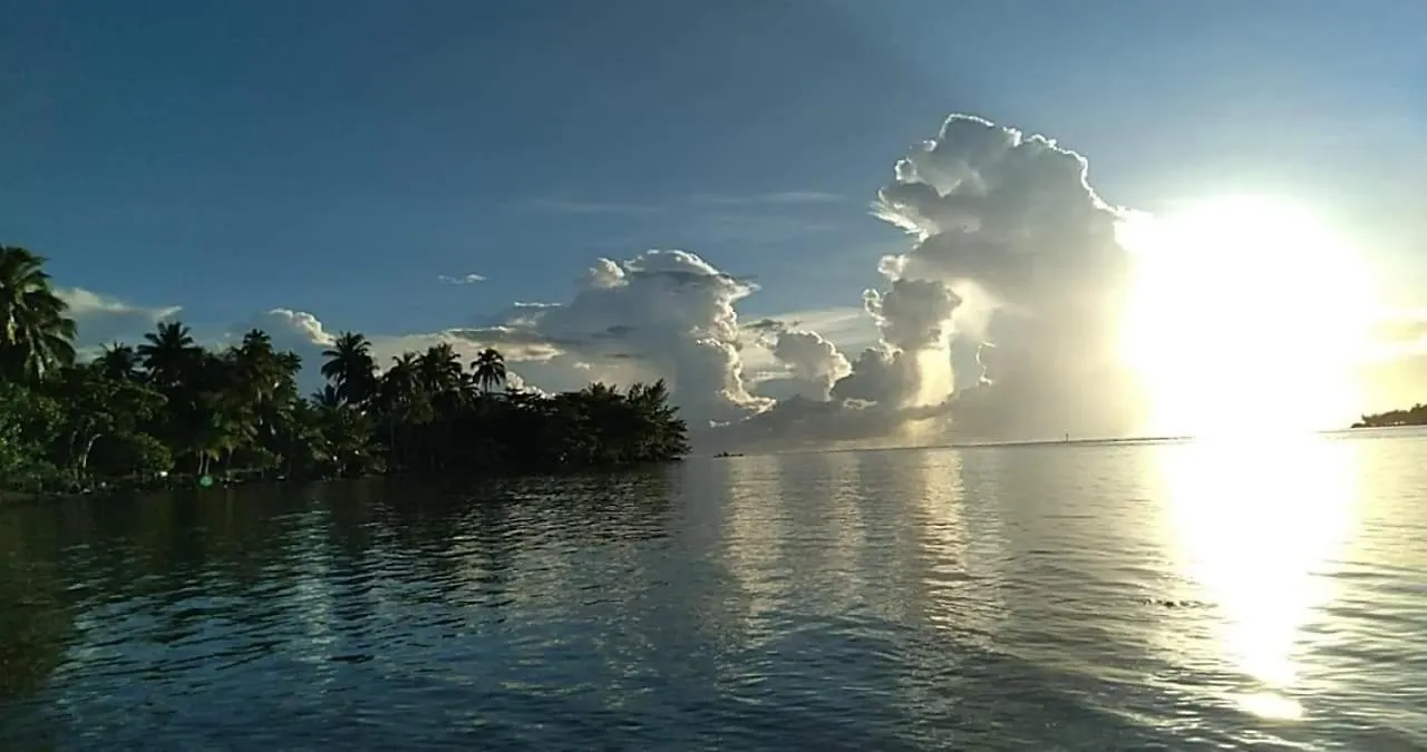 Bungalow Les Pieds Ds L Eau, La Maison Bleue Moorea