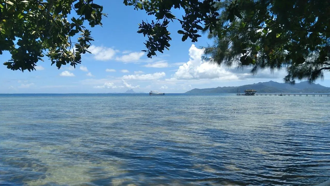 Bungalow Les Pieds Ds L Eau, La Maison Bleue Moorea Polinesia Francese