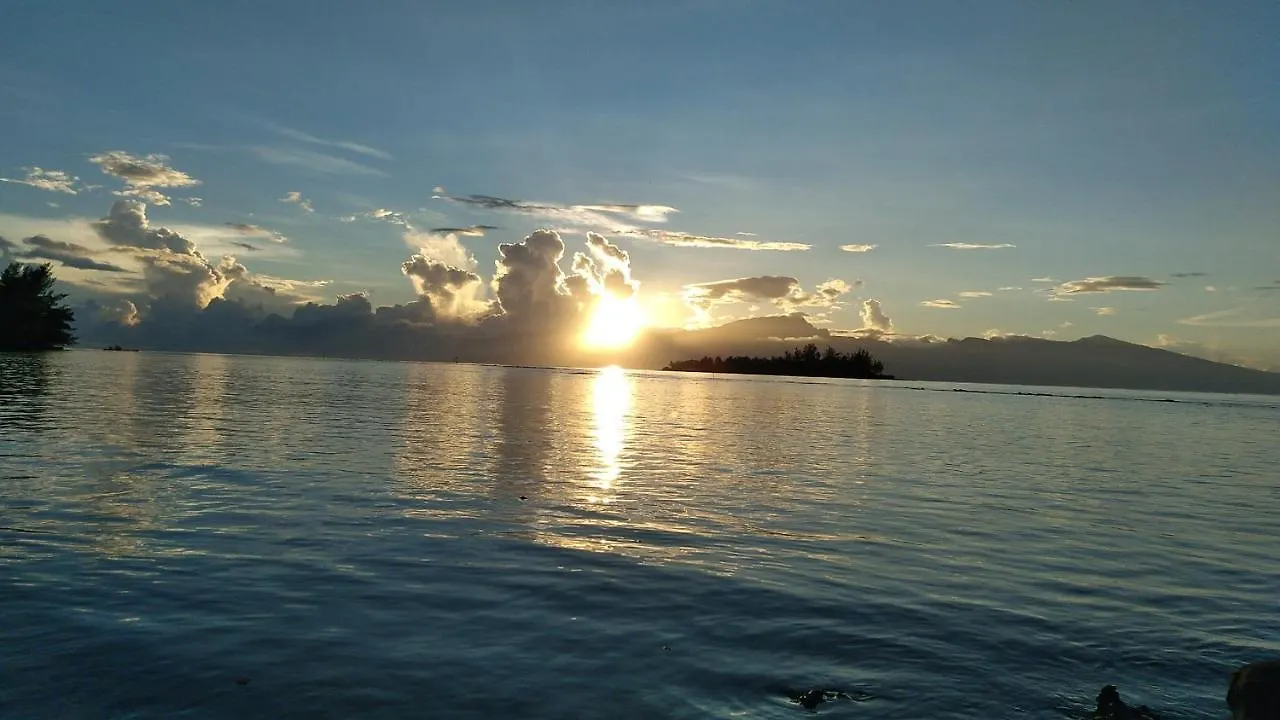 Bungalow Les Pieds Ds L Eau, La Maison Bleue Moorea 0*,  Polinesia Francese
