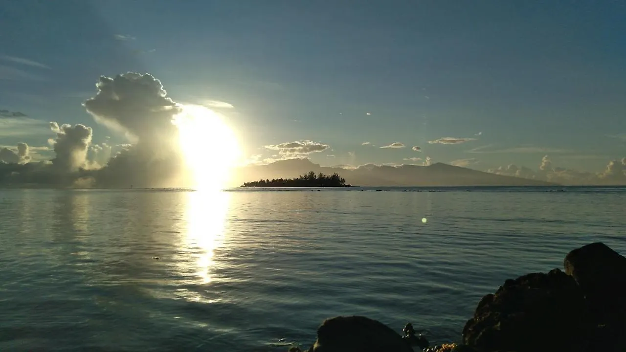 Bungalow Les Pieds Ds L Eau, La Maison Bleue Moorea Alloggio in famiglia