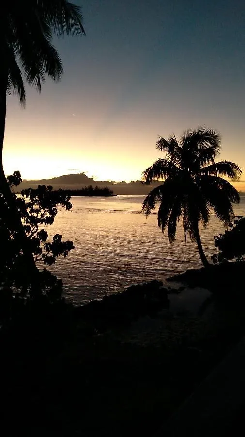 Bungalow Les Pieds Ds L Eau, La Maison Bleue Moorea Polinesia Francese