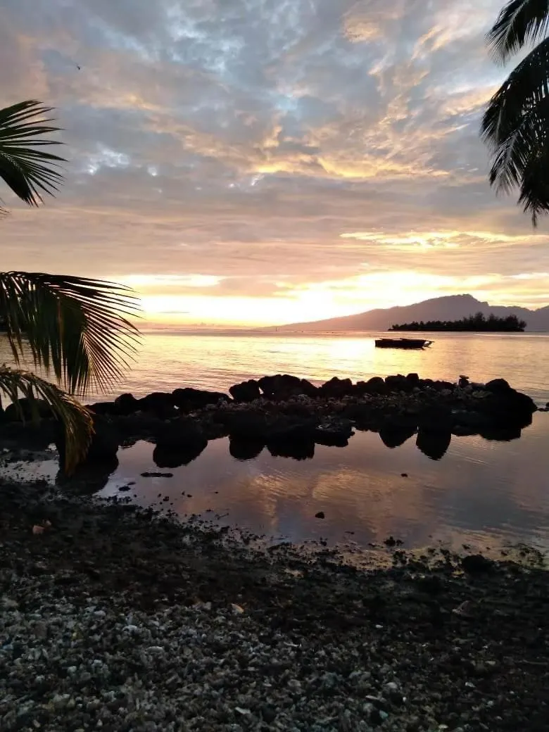 Homestay Bungalow Les Pieds Ds L Eau, La Maison Bleue Moorea French Polynesia