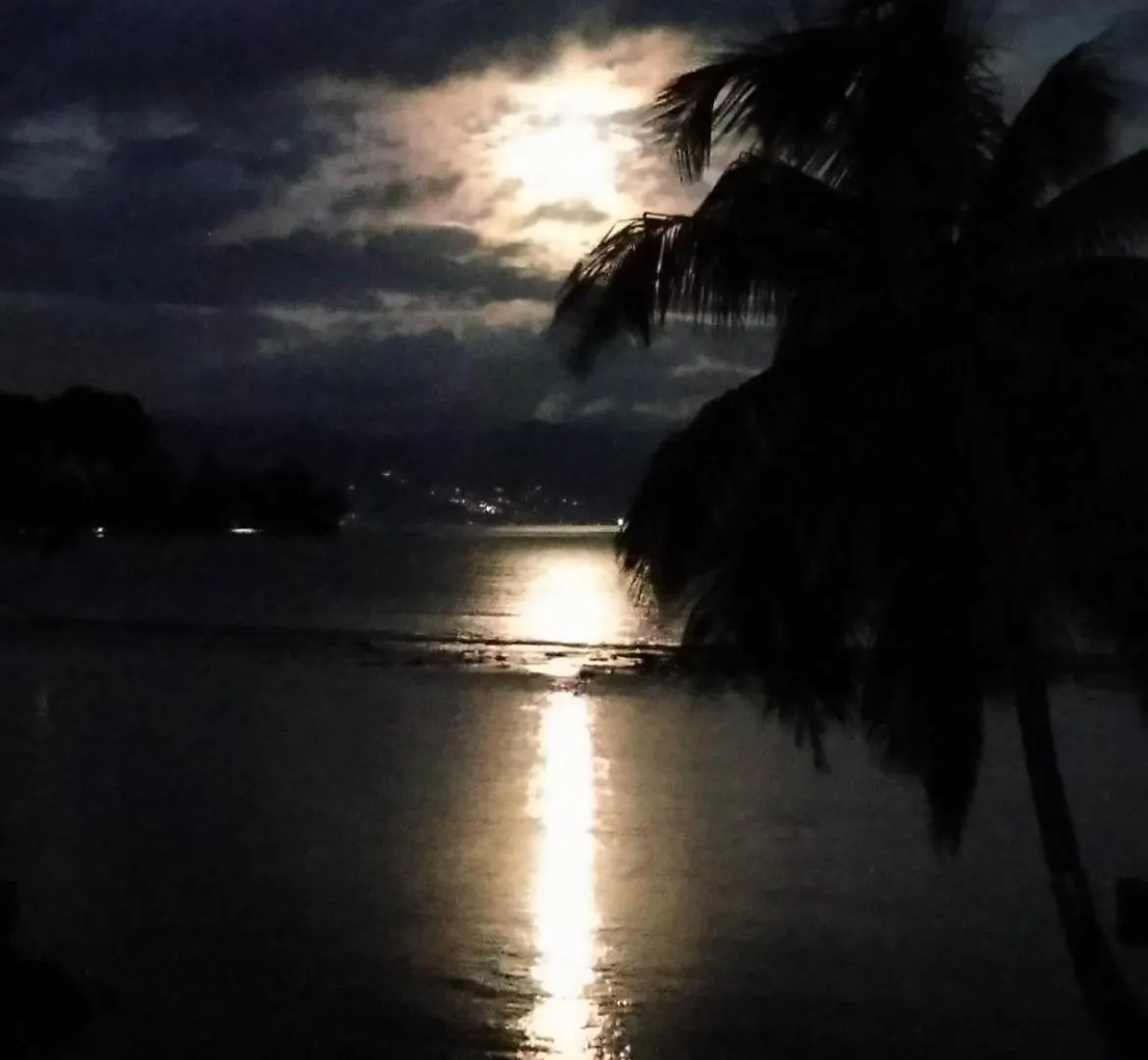 Bungalow Les Pieds Ds L Eau, La Maison Bleue Moorea 0*,