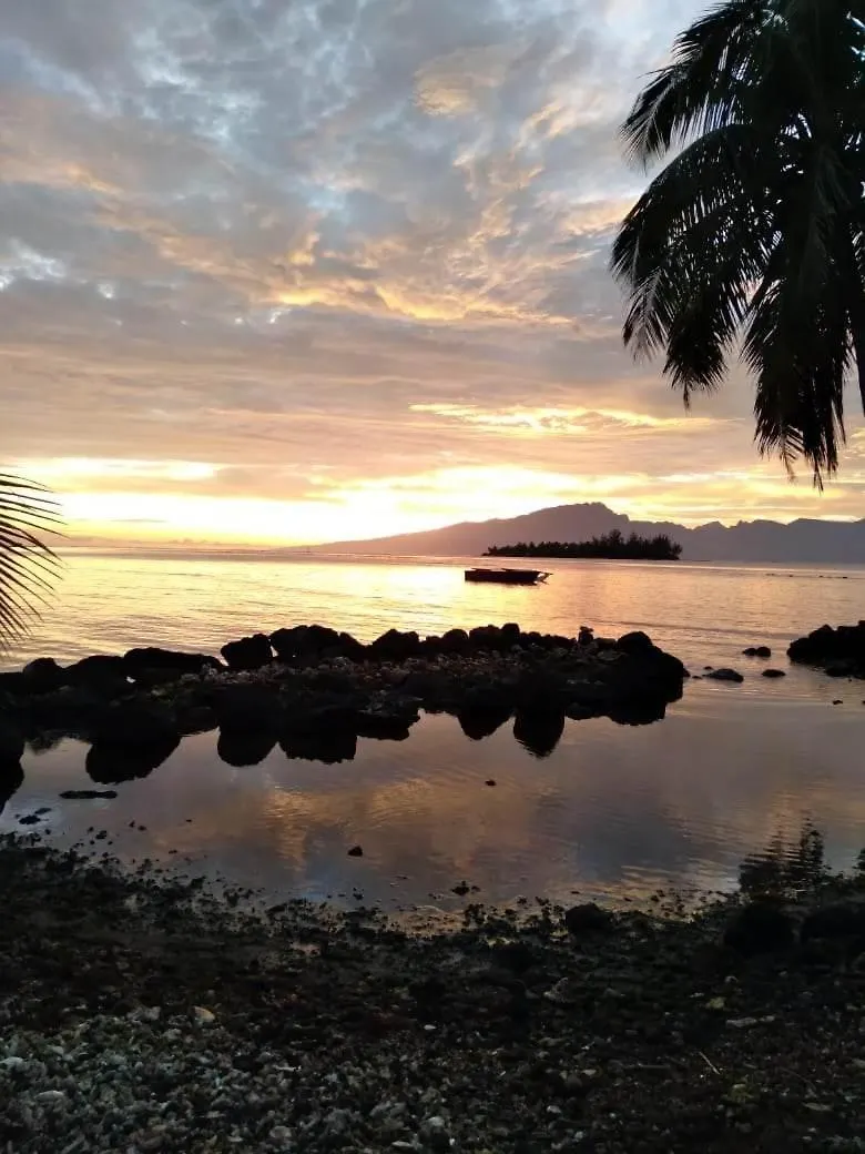 Bungalow Les Pieds Ds L Eau, La Maison Bleue Moorea