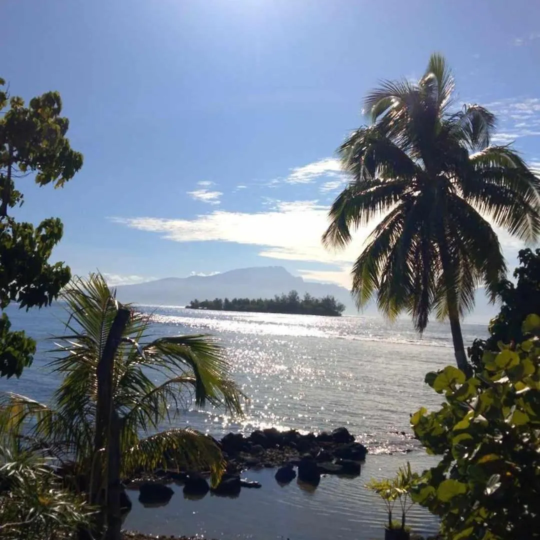 Alloggio in famiglia Bungalow Les Pieds Ds L Eau, La Maison Bleue Moorea