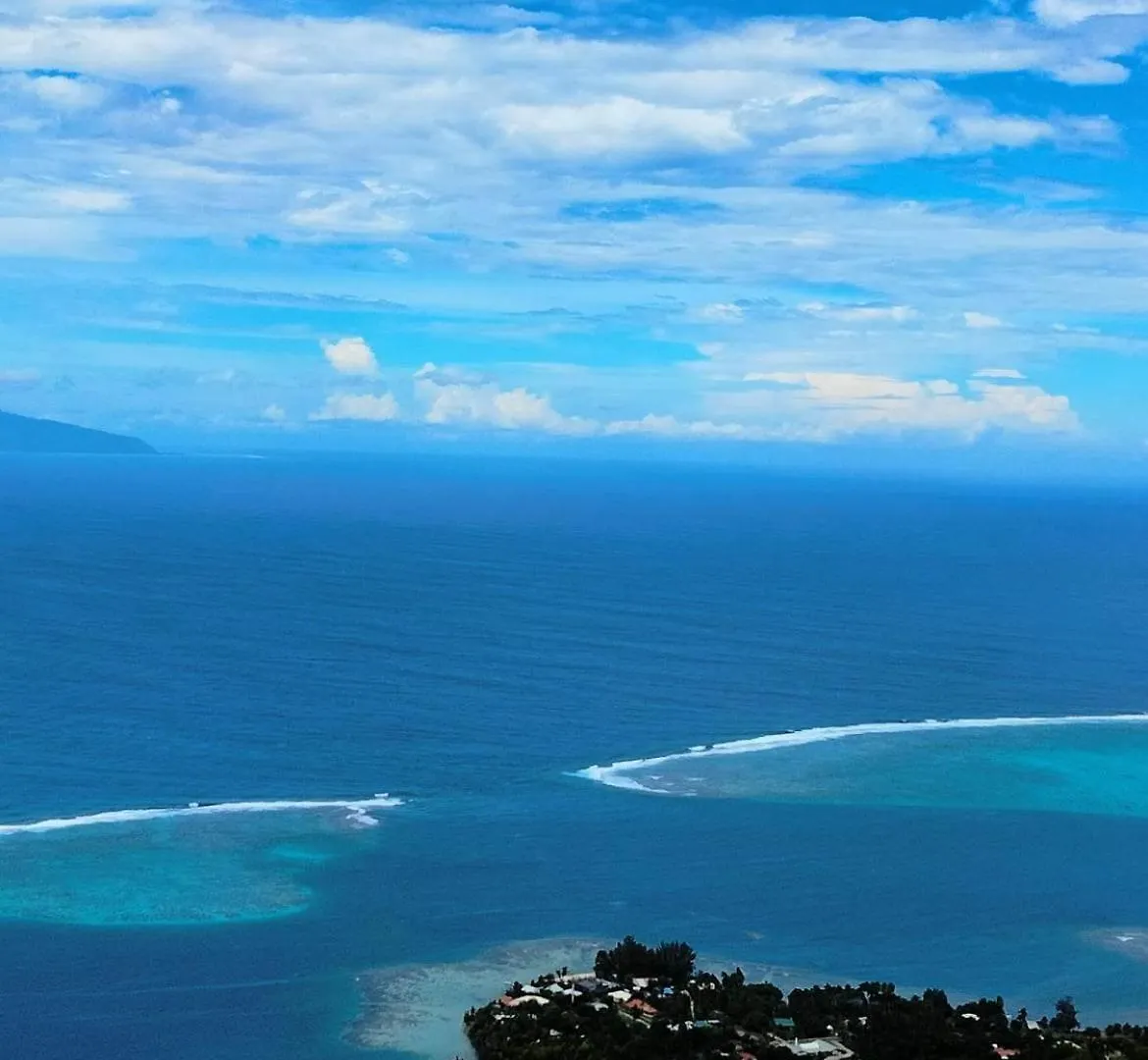 Bungalow Les Pieds Ds L Eau, La Maison Bleue Moorea