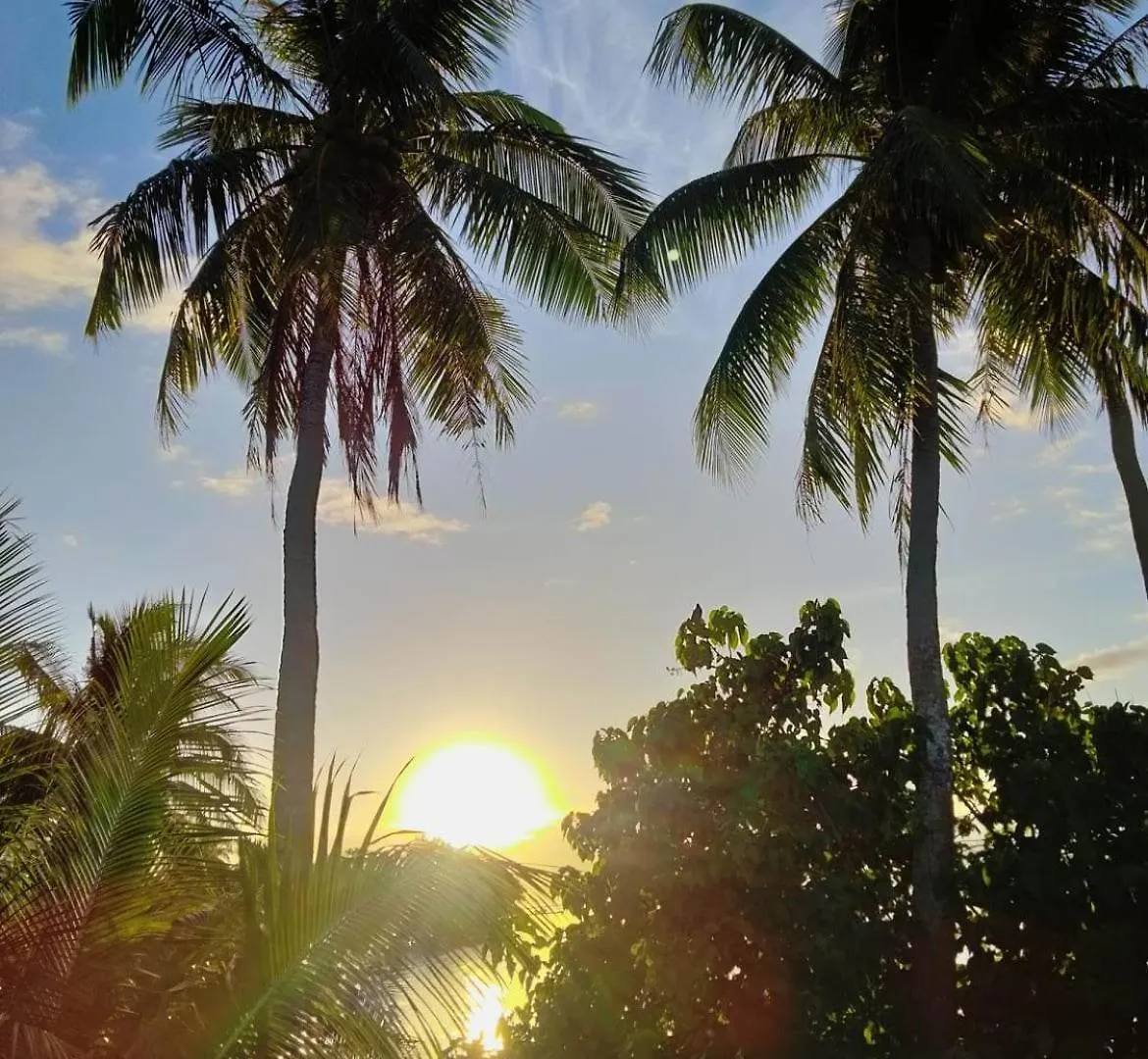 Bungalow Les Pieds Ds L Eau, La Maison Bleue Moorea 0*,