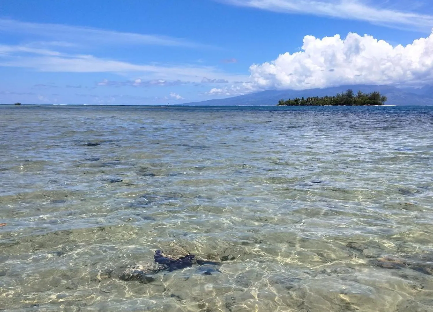 Alloggio in famiglia Bungalow Les Pieds Ds L Eau, La Maison Bleue Moorea Polinesia Francese