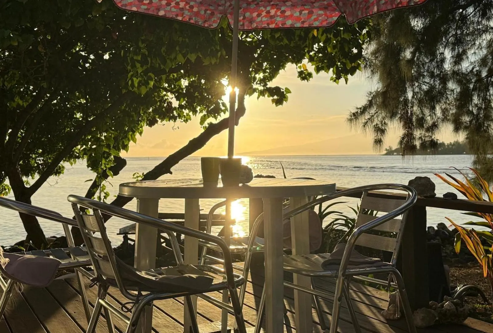 Bungalow Les Pieds Ds L Eau, La Maison Bleue Moorea Homestay