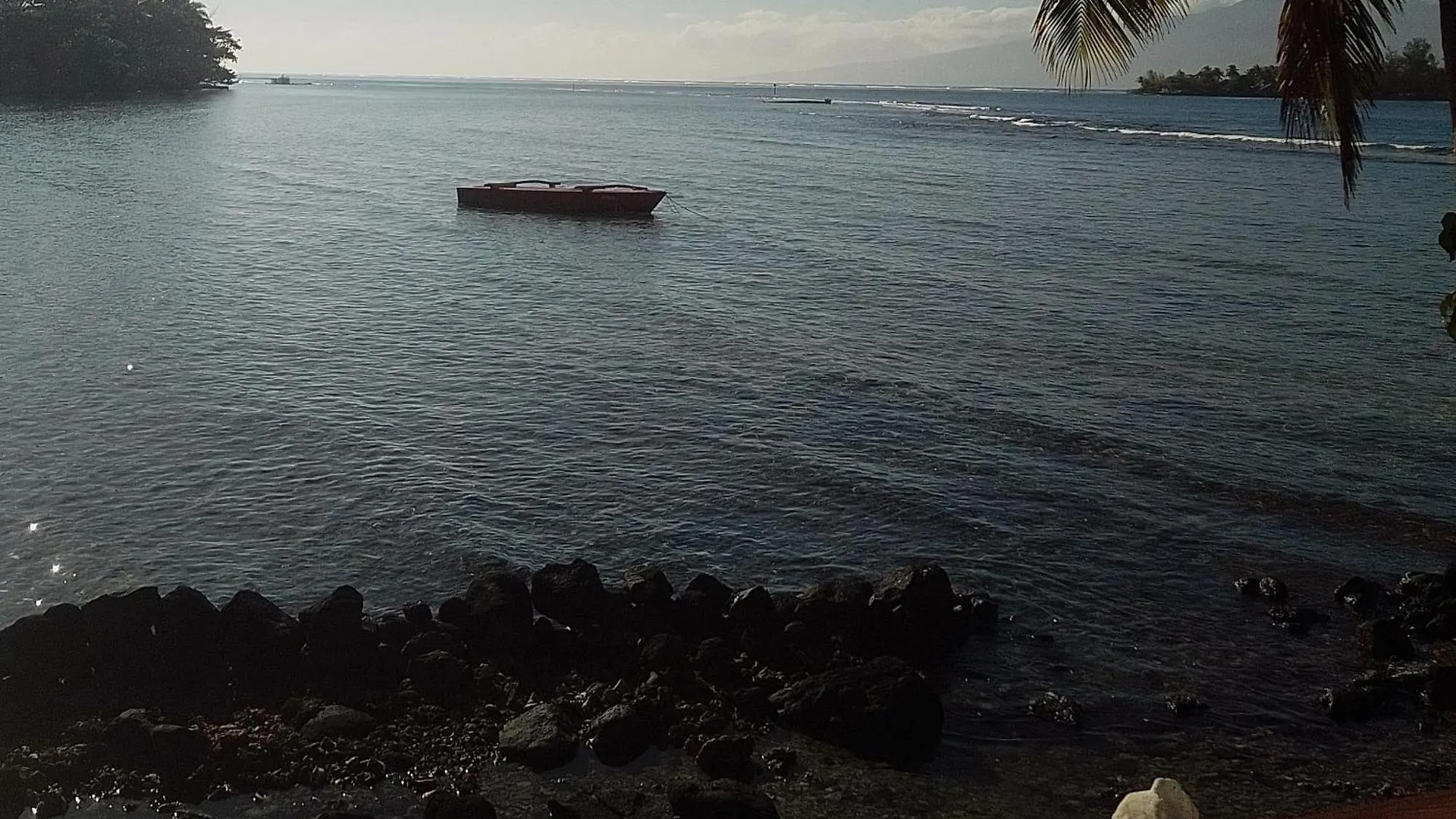 Rum i privatbostad Bungalow Les Pieds Ds L Eau, La Maison Bleue Moorea